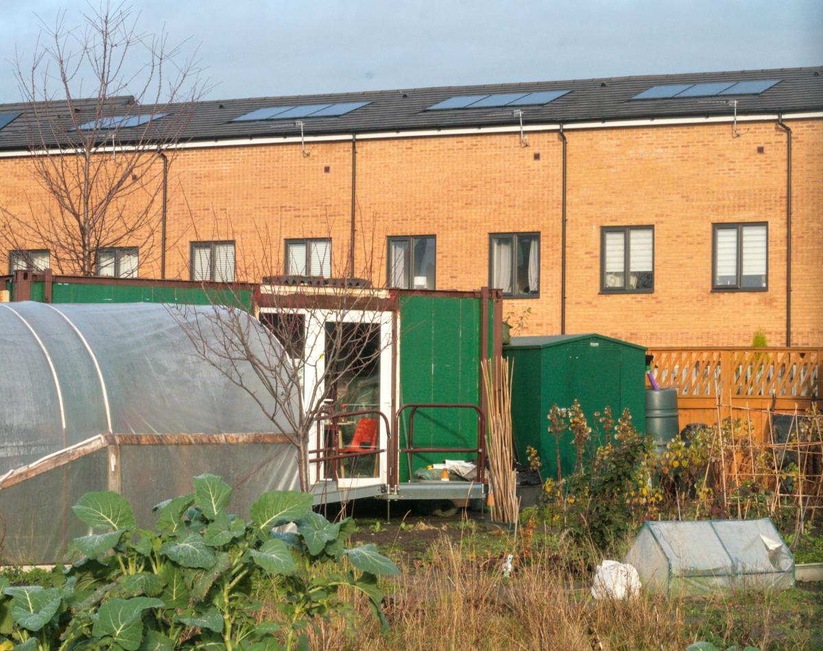 Allotment at Brunswick - tan brick houses behind a green shed