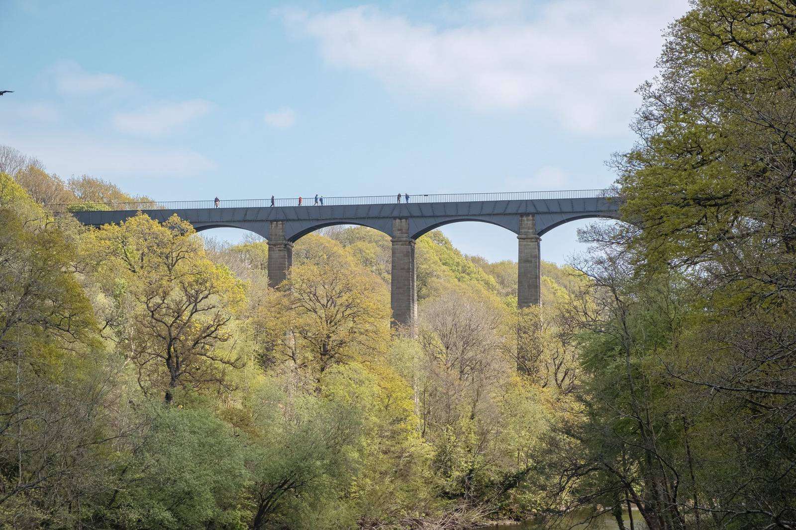 An aqueduct above the treeline