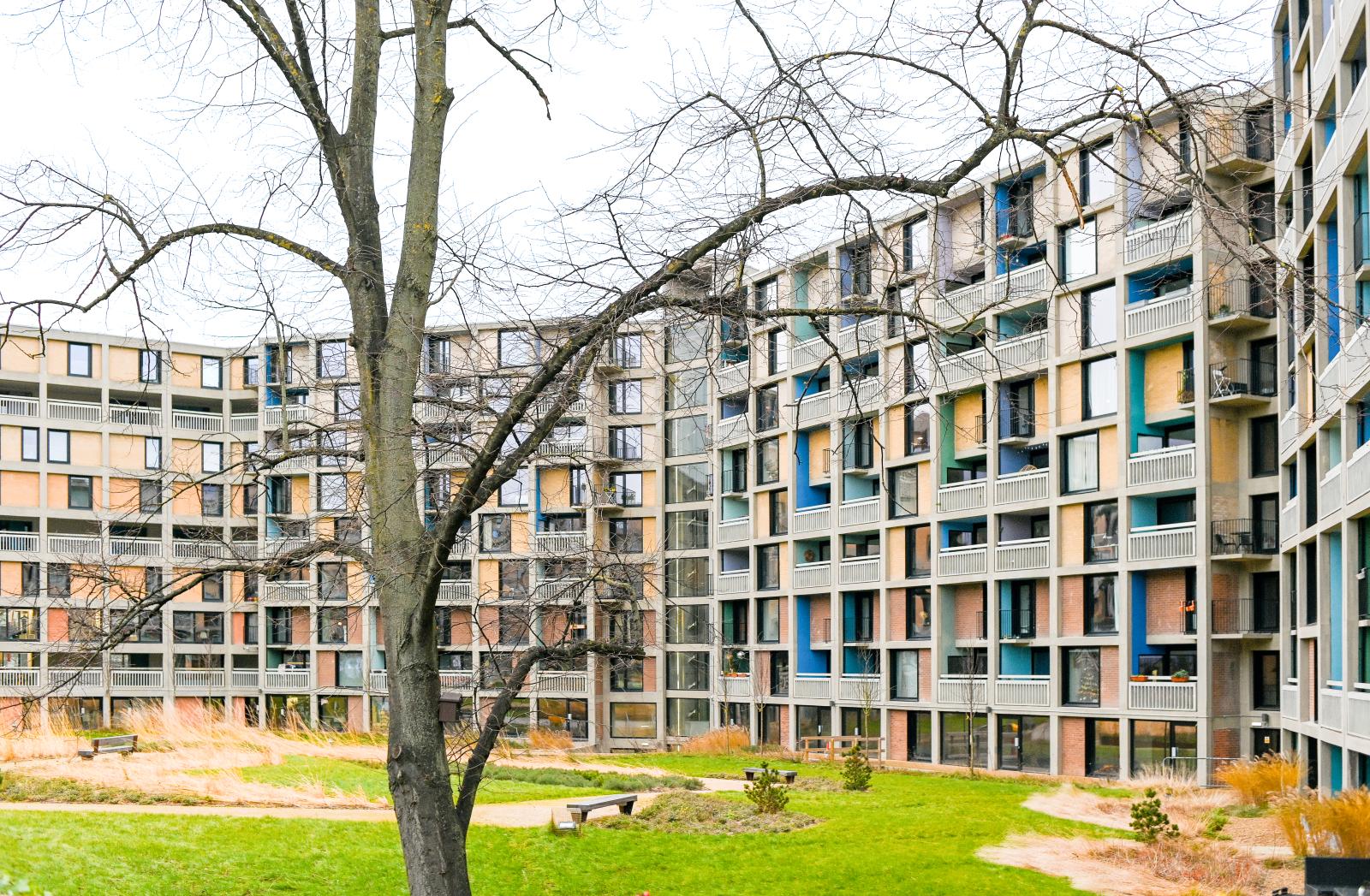 a tree is in the foreground against the backdrop of 1960s park hill estate