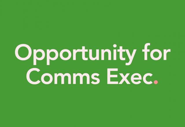 pale text that reads 'opportunity for comms exec' on green background