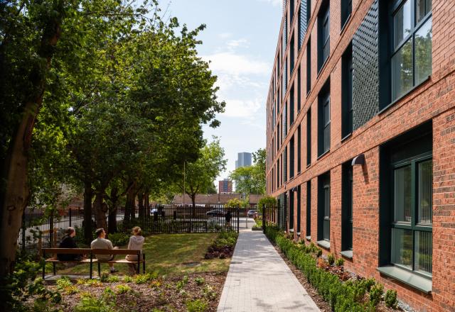 A view of the landscaping outside of Willohaus