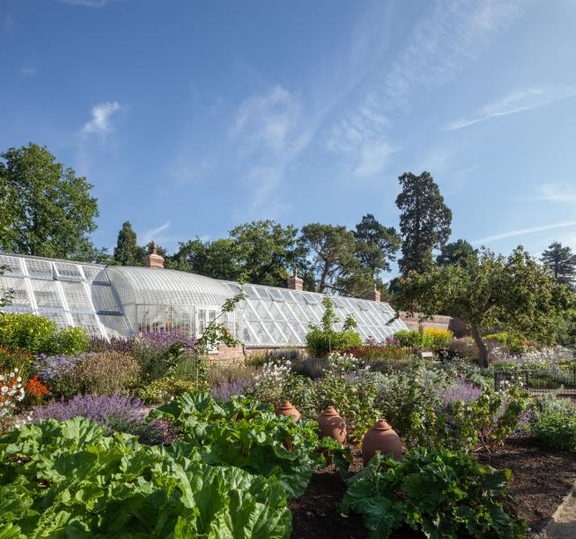 Restored glasshouse