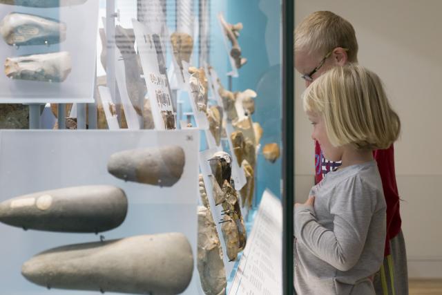 Children looking into a museum exhibition case