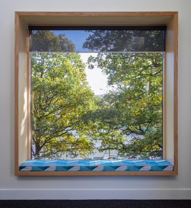 window view of trees at wards house