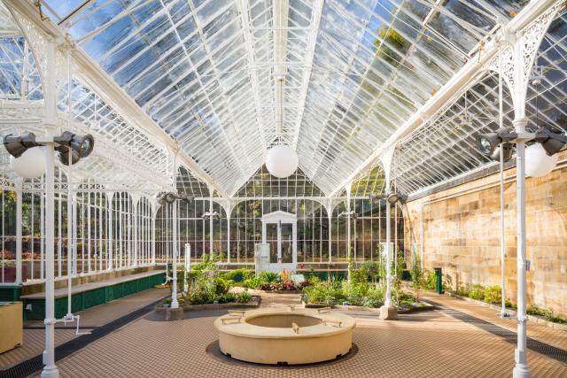 Interior image of the Grade II* listed Victorian Glasshouse at Wentworth Castle.