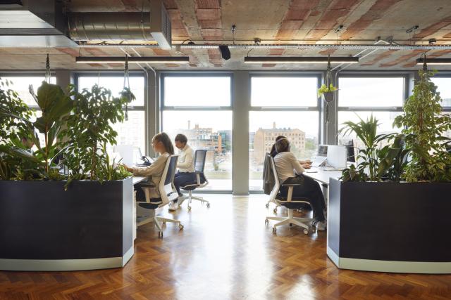 an office with floor to ceiling windows and a parquet floor. the image looks through the gaps between two sets of desks to the window.