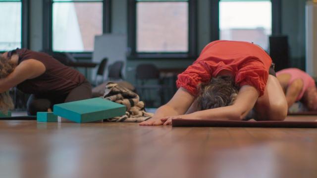 A yoga class in poses