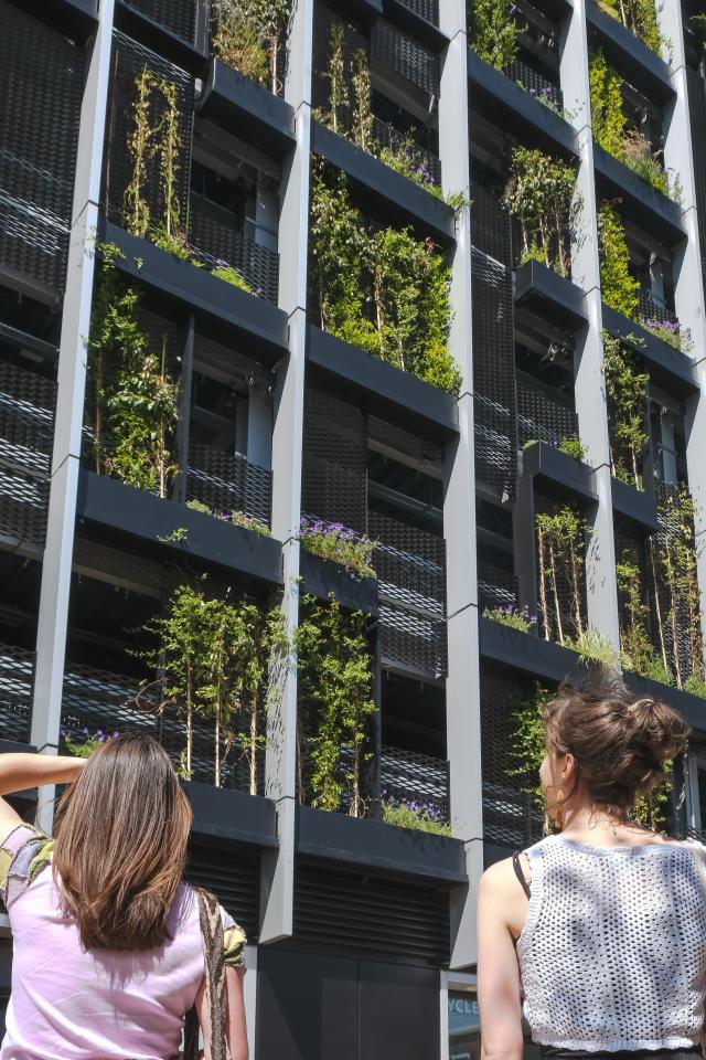 Green wall structure and two people looking up at it