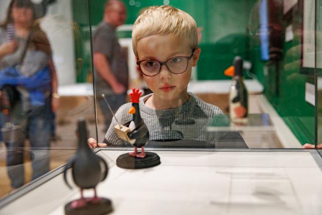 A young boy looking at a museum exhibit in a glass case
